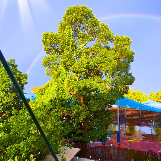 פרק 5- רחוב שלא הכרתי — שנכתב לי בגורל